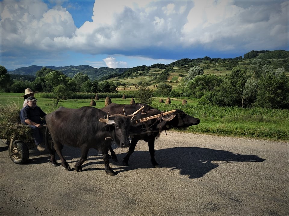 Insula Afroditei- Cipru